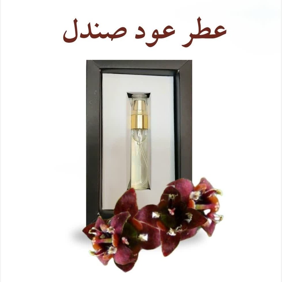 عطر عود صندل (5 گرمی) مجموعه حکیم خیراندیش