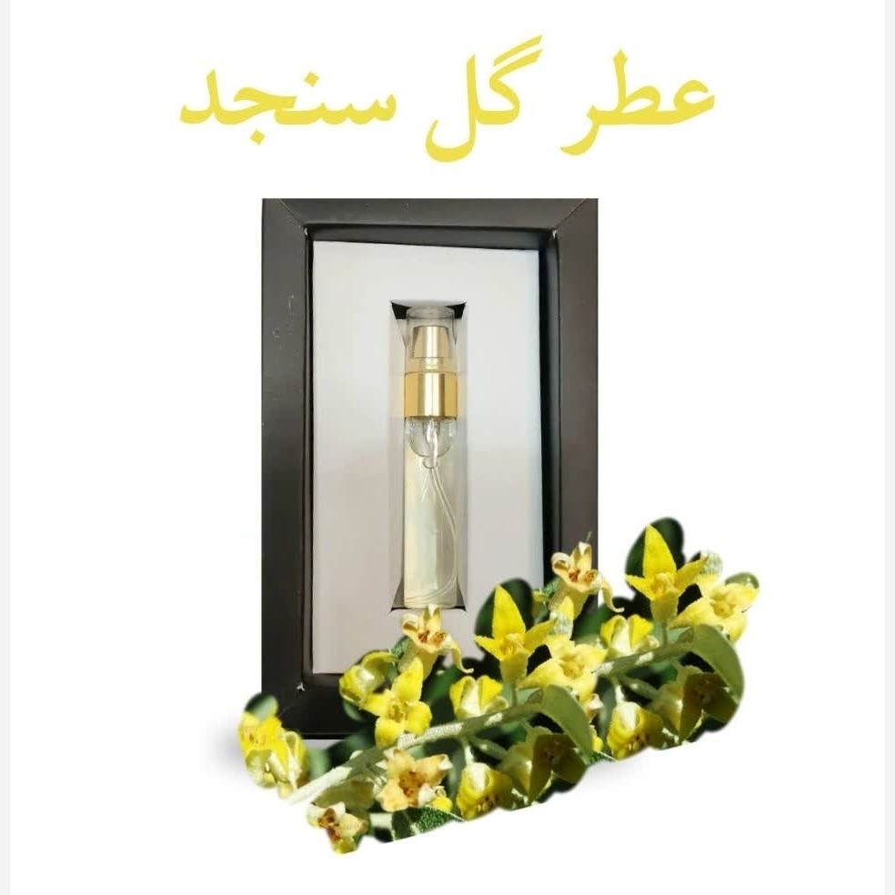 عطر گل سنجد (5 گرمی) مجموعه حکیم خیراندیش