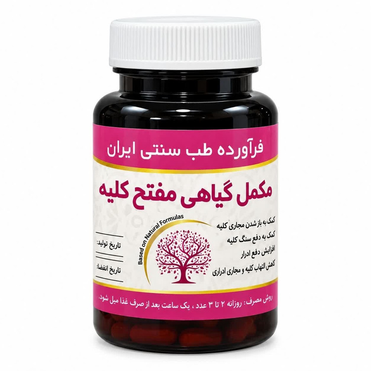 مکمل مفتح کلیه مجموعه حکیم خیراندیش