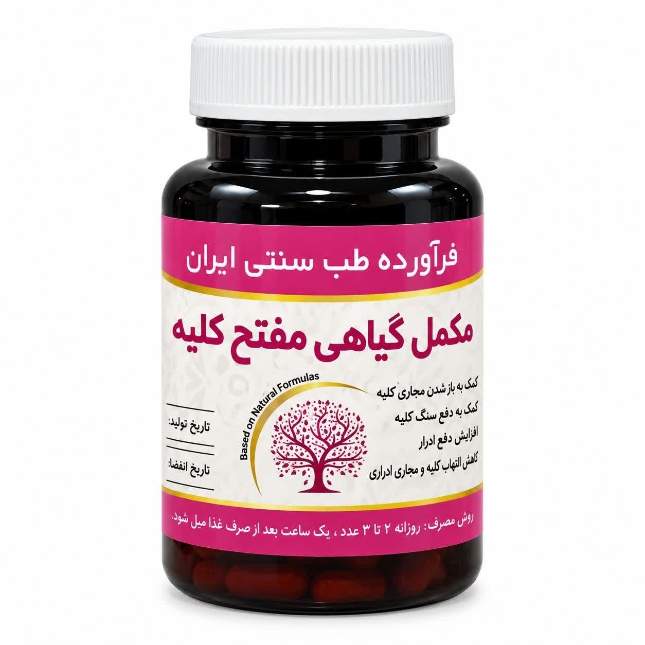 مکمل مفتح کلیه مجموعه حکیم خیراندیش